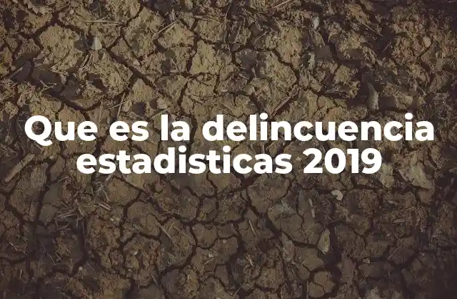 Que es la Delincuencia Estadisticas 2019