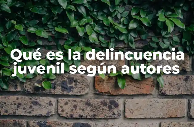 Qué es la Delincuencia Juvenil según Autores
