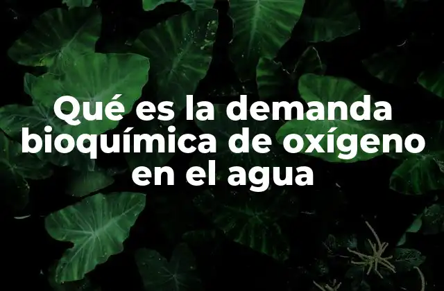 Qué es la Demanda Bioquímica de Oxígeno en el Agua