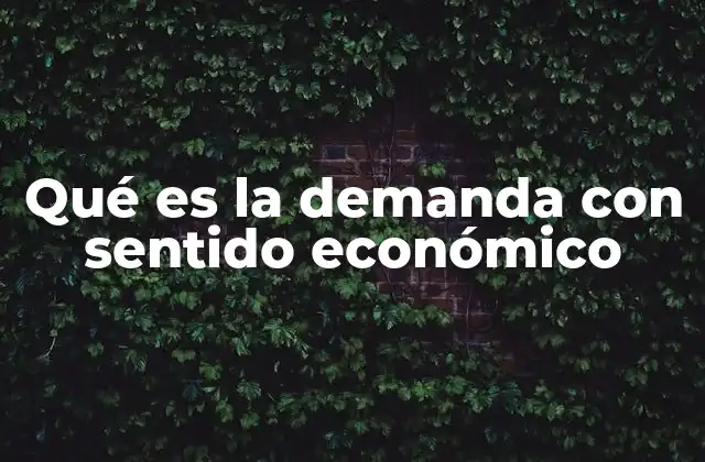 Qué es la Demanda con Sentido Económico 2 La demanda en el contexto del equilibrio de mercado