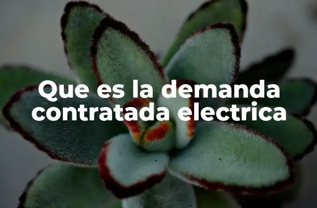 Que es la Demanda Contratada Electrica