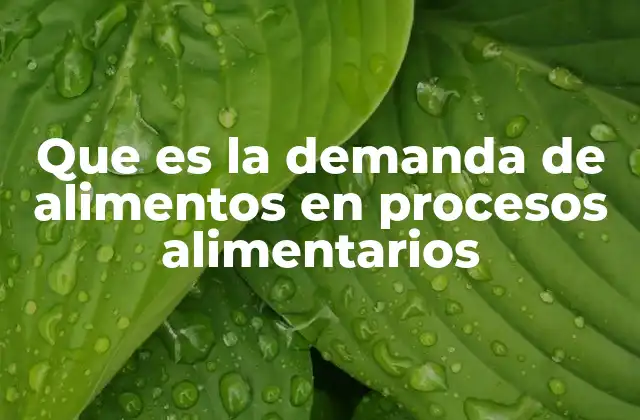 Que es la Demanda de Alimentos en Procesos Alimentarios 2 La importancia de la planificación en la cadena alimentaria