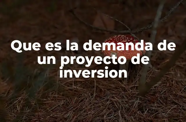 Que es la Demanda de un Proyecto de Inversion