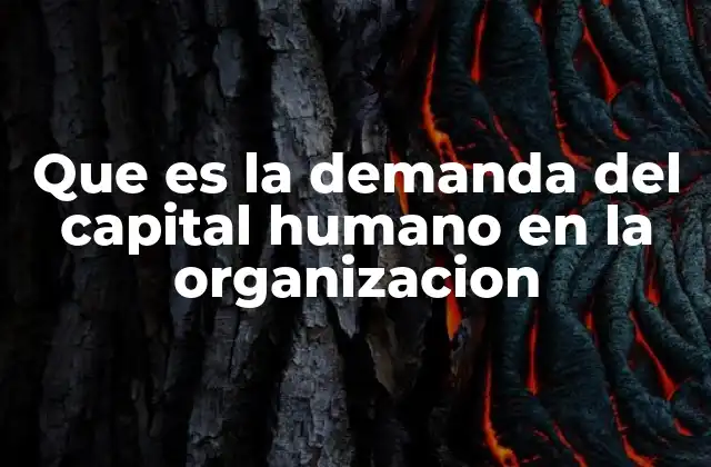 Que es la Demanda Del Capital Humano en la Organizacion