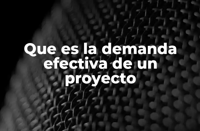 Que es la Demanda Efectiva de un Proyecto