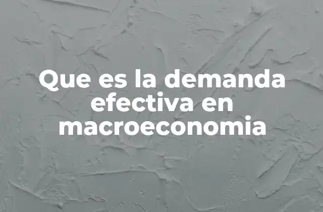 Que es la Demanda Efectiva en Macroeconomia
