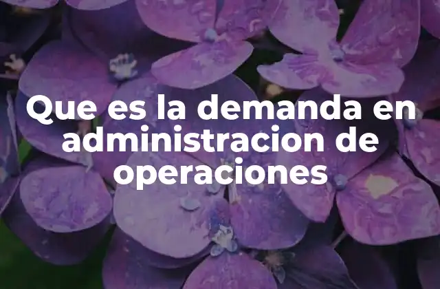 Que es la Demanda en Administracion de Operaciones