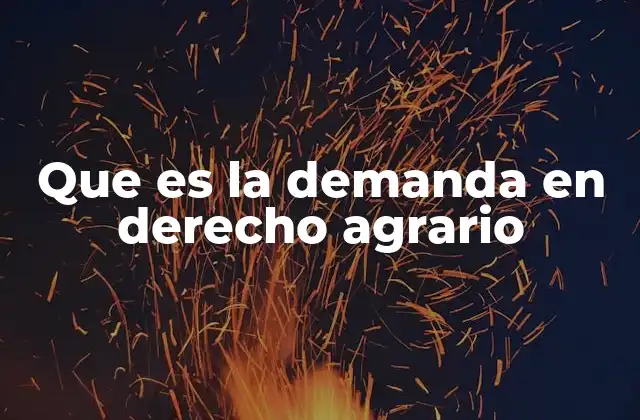Que es la Demanda en Derecho Agrario