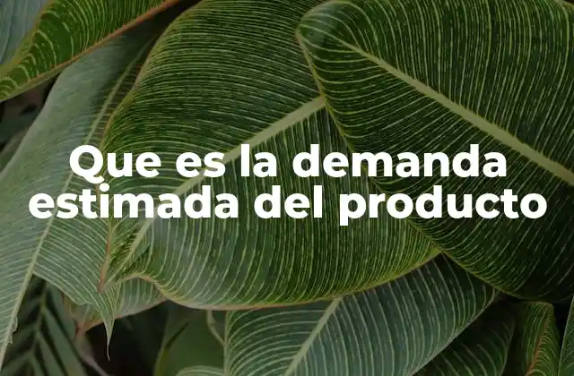 Que es la Demanda Estimada Del Producto