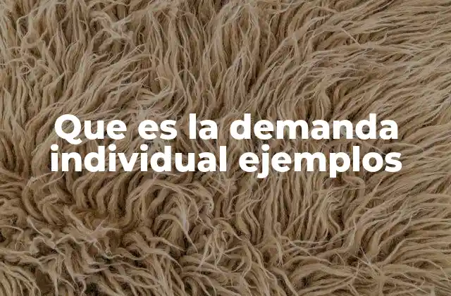 Que es la Demanda Individual Ejemplos