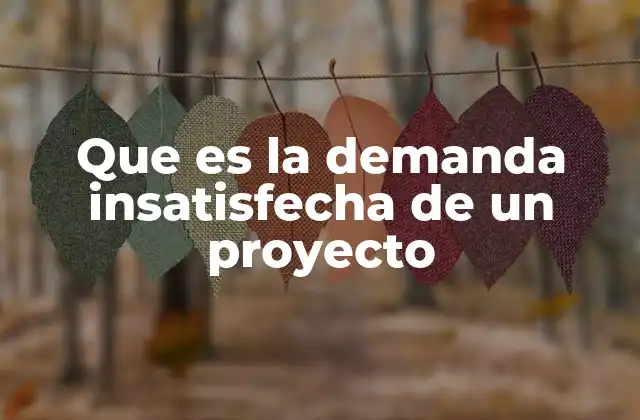 Que es la Demanda Insatisfecha de un Proyecto 2 El impacto de la brecha entre expectativas y resultados en un proyecto