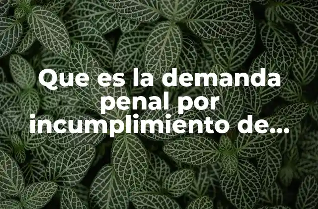 Que es la Demanda Penal por Incumplimiento de Alimentos