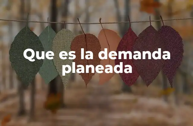 Que es la Demanda Planeada