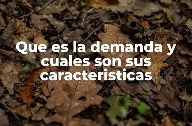 Que es la Demanda y Cuales Son Sus Caracteristicas