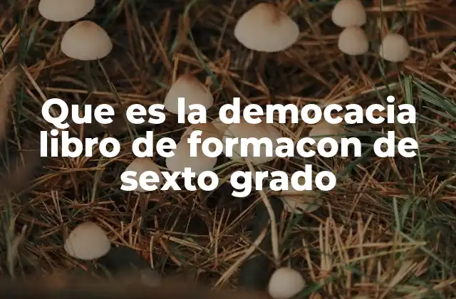 Cómo se enseña la democracia en el aula a través del libro de sexto grado