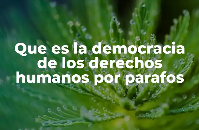 Que es la Democracia de los Derechos Humanos por Parafos