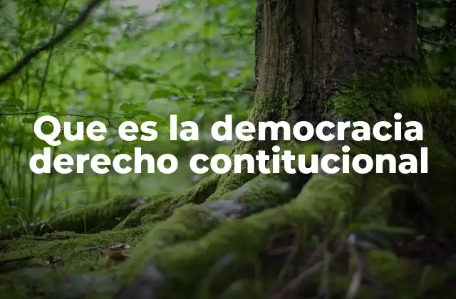 El papel de la Constitución en el funcionamiento democrático