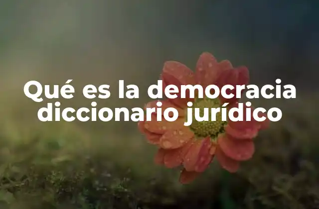 Democracia como fundamento del Estado de derecho