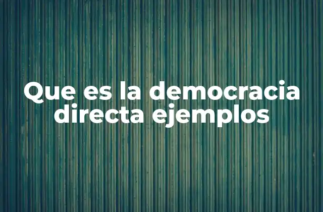 Que es la Democracia Directa Ejemplos