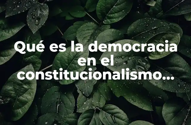 Qué es la Democracia en el Constitucionalismo Mexicano