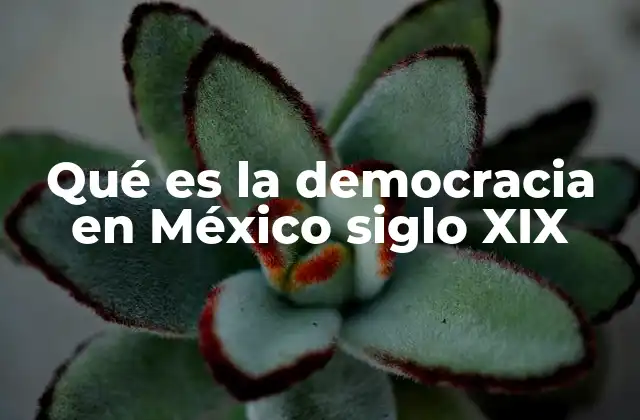 Qué es la Democracia en México Siglo Xix