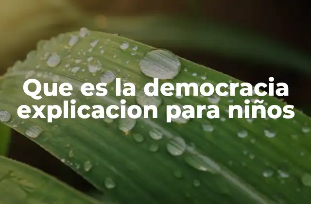 Que es la Democracia Explicacion para Niños