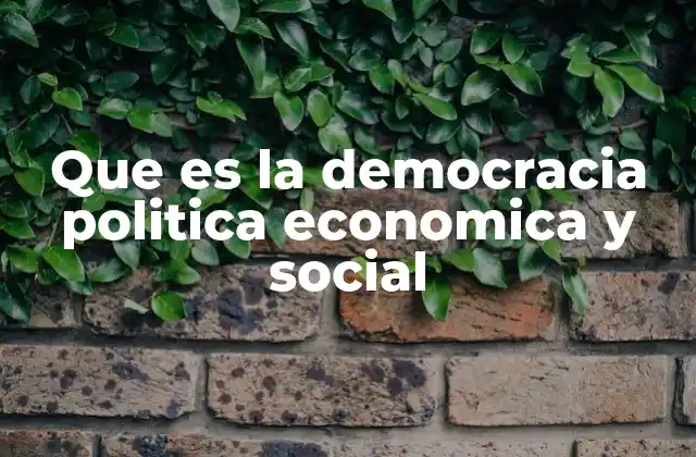 Que es la Democracia Politica Economica y Social