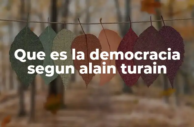 Que es la Democracia Segun Alain Turain