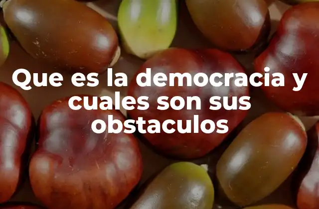 Que es la Democracia y Cuales Son Sus Obstaculos