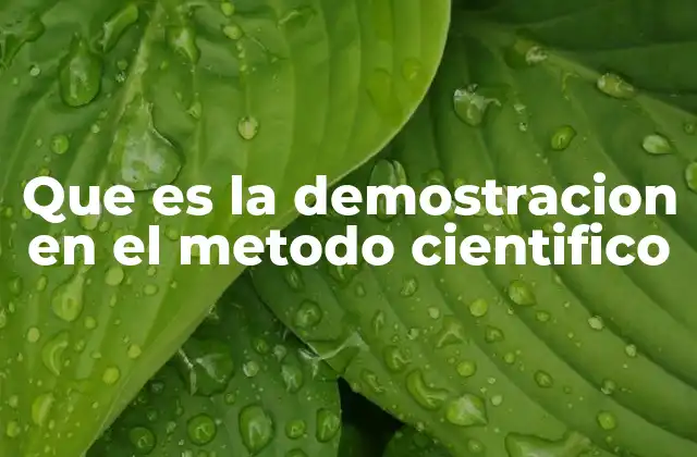 Que es la Demostracion en el Metodo Cientifico