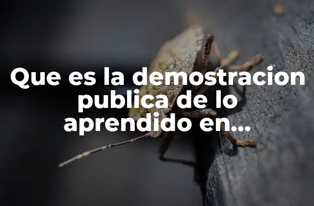 Que es la Demostracion Publica de Lo Aprendido en Telesecundaria