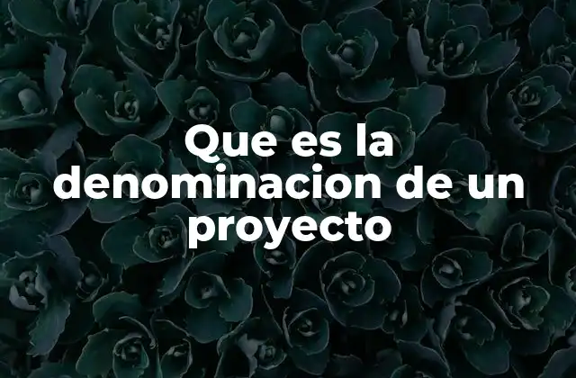 Que es la Denominacion de un Proyecto