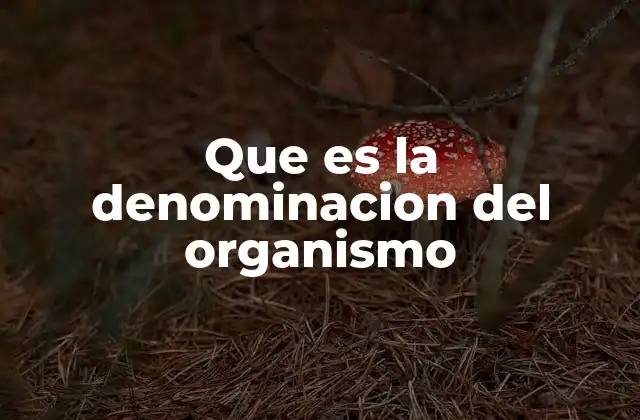 Que es la Denominacion Del Organismo