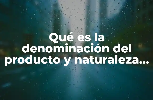 Qué es la Denominación Del Producto y Naturaleza Del Mismo