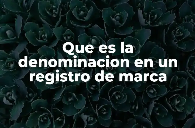 Que es la Denominacion en un Registro de Marca