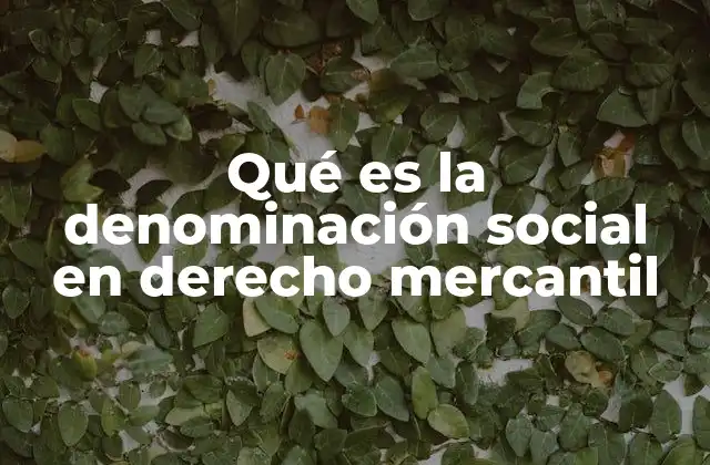 Qué es la Denominación Social en Derecho Mercantil