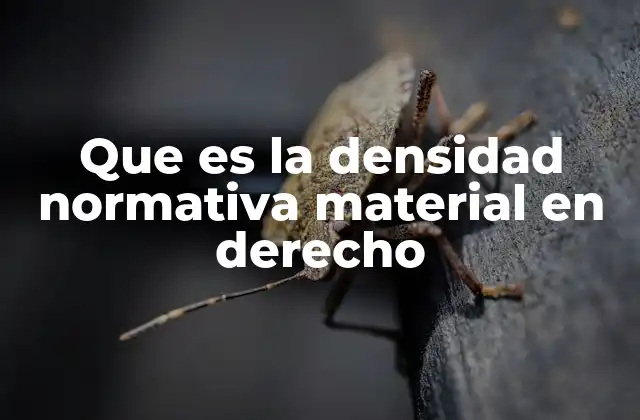 Que es la Densidad Normativa Material en Derecho 2 La regulación jurídica y su relación con la densidad normativa