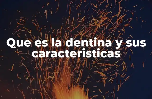 Que es la Dentina y Sus Caracteristicas
