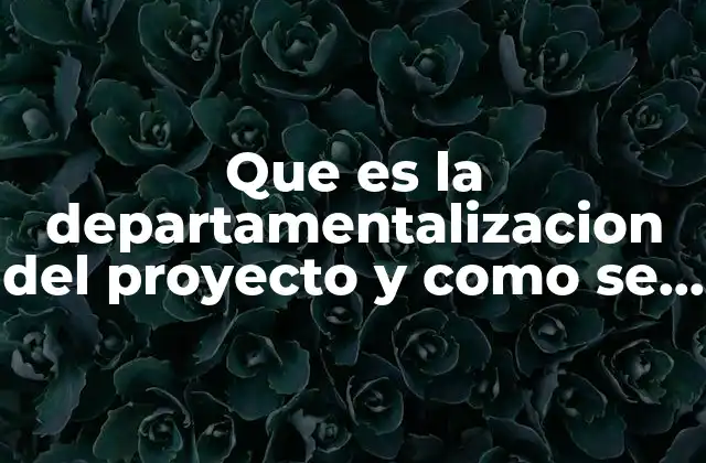 Que es la Departamentalizacion Del Proyecto y como Se Hace