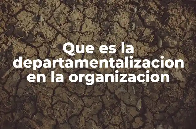 Que es la Departamentalizacion en la Organizacion