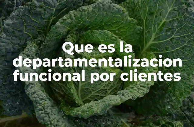 Que es la Departamentalizacion Funcional por Clientes