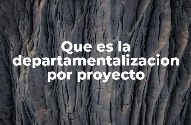 Que es la Departamentalizacion por Proyecto
