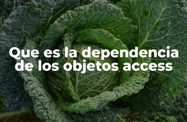 Que es la Dependencia de los Objetos Access