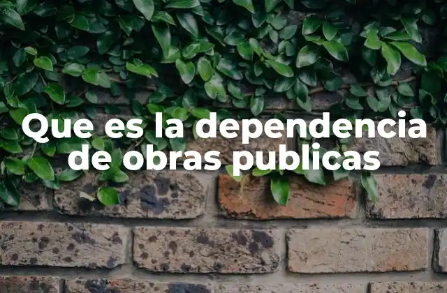 Que es la Dependencia de Obras Publicas