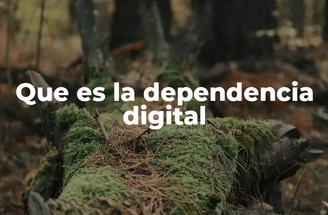 Que es la Dependencia Digital