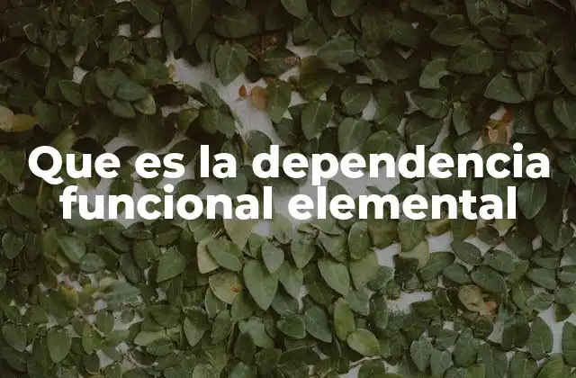 Que es la Dependencia Funcional Elemental