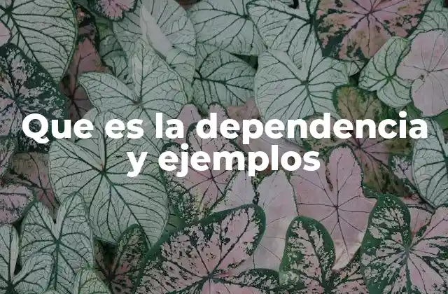 Que es la Dependencia y Ejemplos