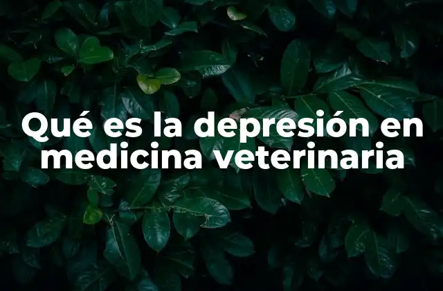 Qué es la Depresión en Medicina Veterinaria