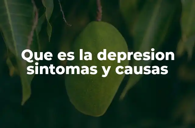 Que es la Depresion Sintomas y Causas