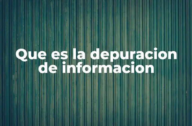 Que es la Depuracion de Informacion